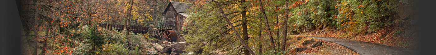 Int - Babock Autumn - F