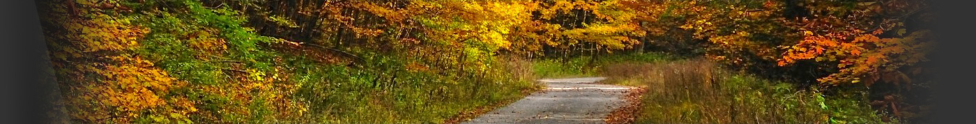 Int - Country Roads - F
